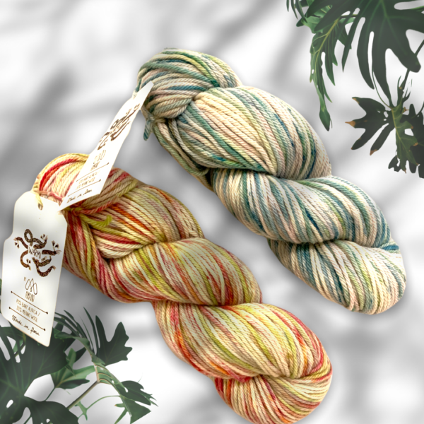 Begonia 6106 - Image 2