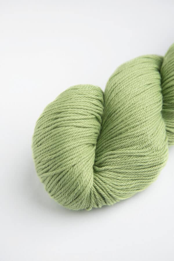 Samay - Image 7