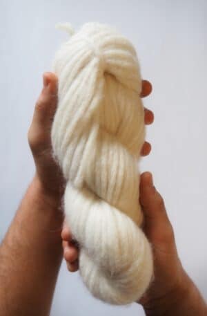 Puyu