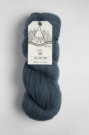 Teal 4112